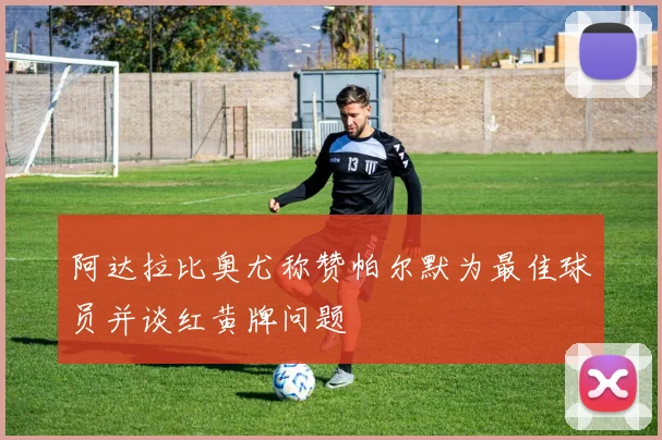 阿达拉比奥尤称赞帕尔默为最佳球员并谈红黄牌问题