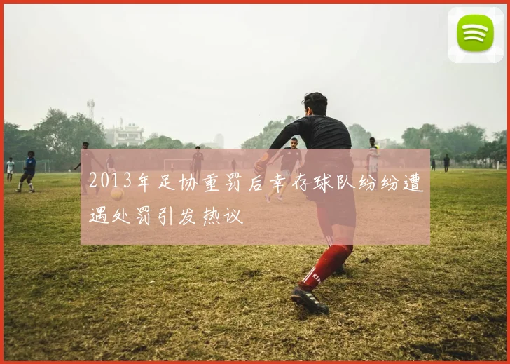 2013年足协重罚后幸存球队纷纷遭遇处罚引发热议